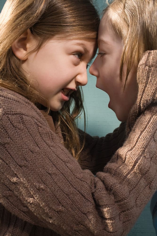 Sibling rivlalry sisters fighting