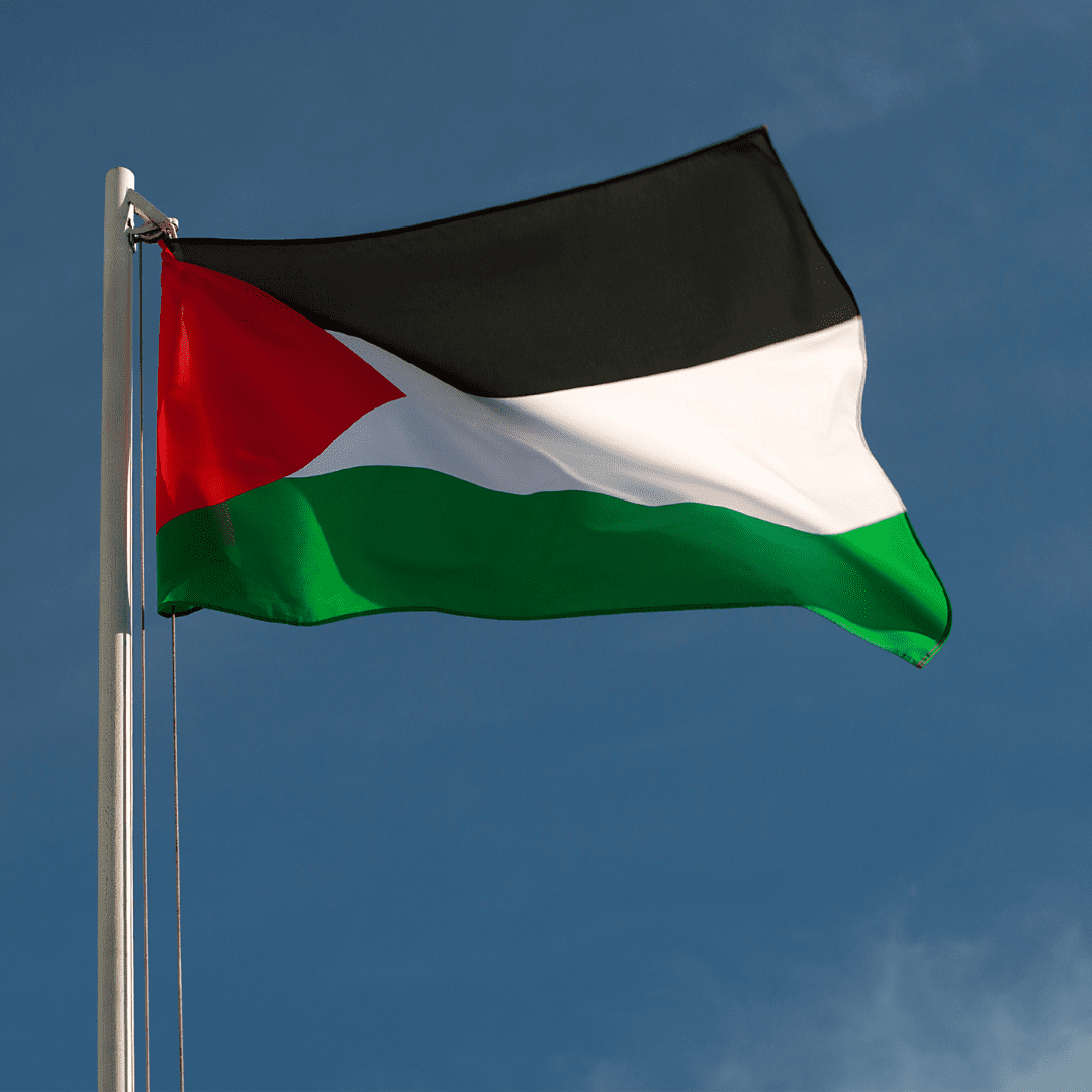 Flag Palestine